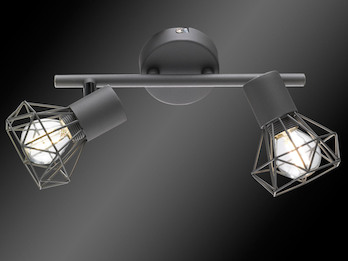 Deckenstrahler RAN Grau 2-flammig, Gitterlampe schwenkbar, Breite 25cm