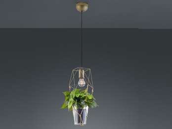 Vintage Pendelleuchte PLANT mit Drahtkorb und Glas für Pflanzen Ø 29cm
