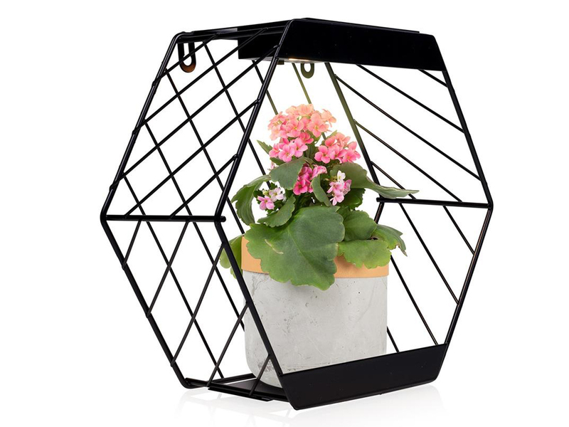 LED Deko Solar Wandleuchte für Pflanzen aus Stahl Gitter in Schwarz, Höhe 25,5cm