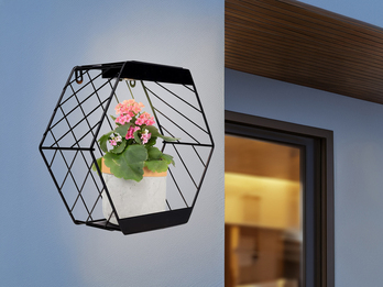 LED Deko Solar Wandleuchte für Pflanzen aus Stahl Gitter in Schwarz, Höhe 25,5cm