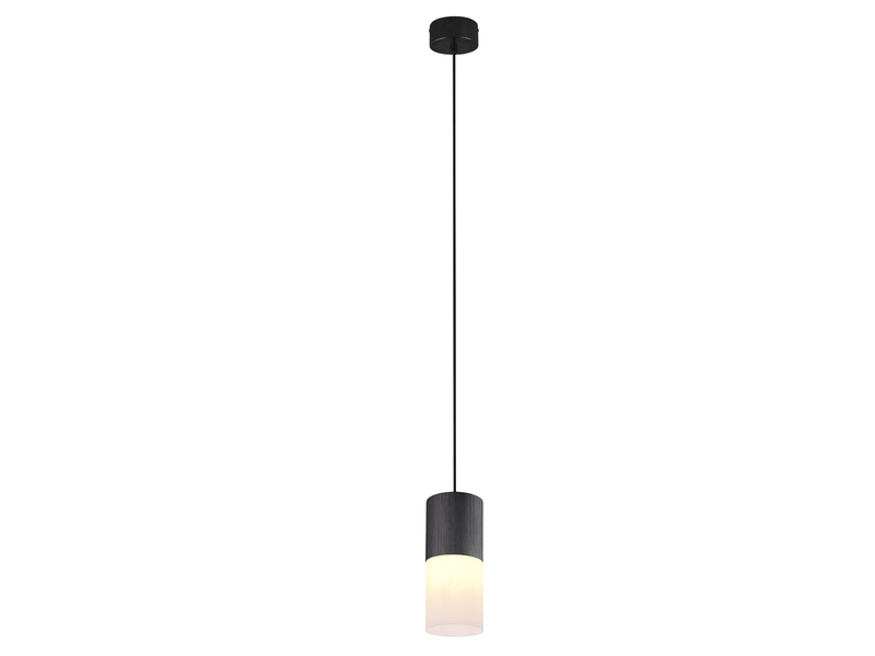 Pendelleuchte ROBIN 1 flammig Schwarz matt mit Glas Lampenschirm Weiß Ø 10cm