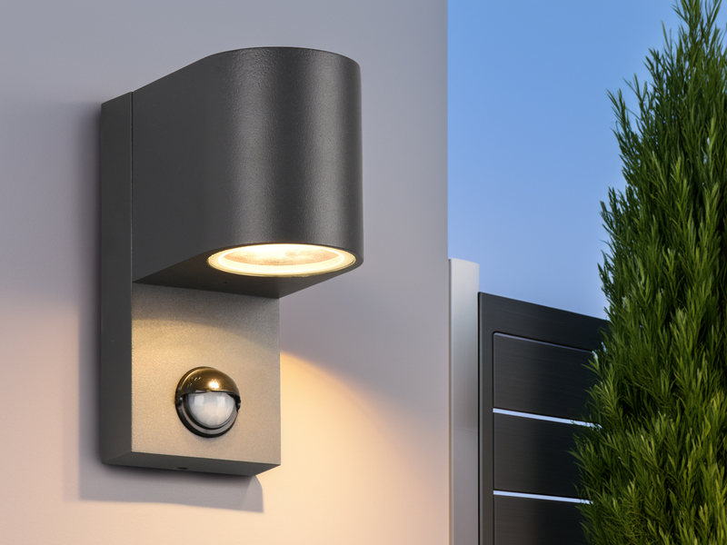 Runde Außenwandleuchte ROYA Downlight mit Bewegungsmelder, Anthrazit