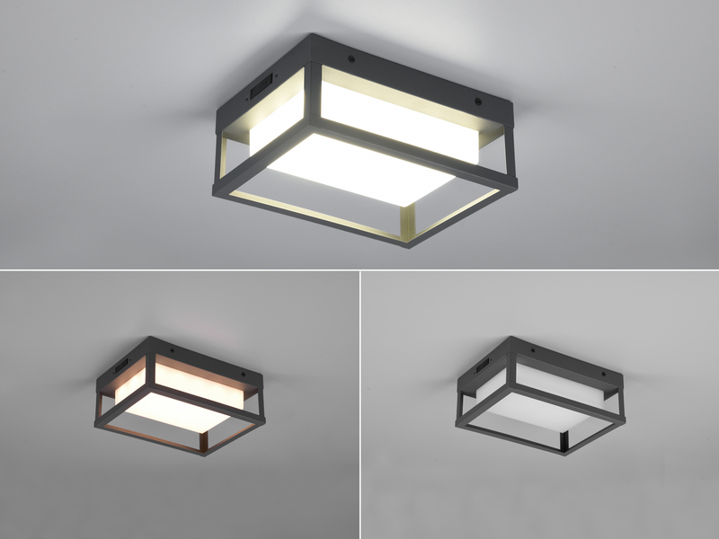 LED Außenwandleuchte WITHAM mit Metall Rahmen Anthrazit, Höhe 24cm