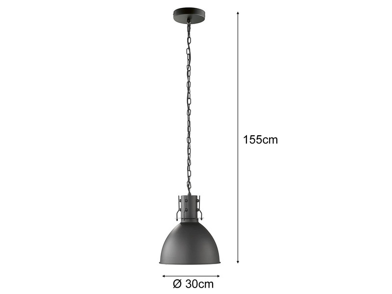 Pendelleuchte Industrial einflammig Schwarz Ø 30 cm mit LED dimmbar