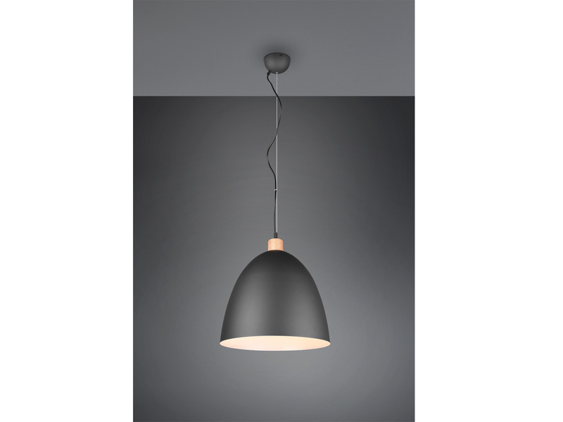 LED Pendelleuchte Lampenschirm Metall/Holz Schwarz dimmbar Ø40cm