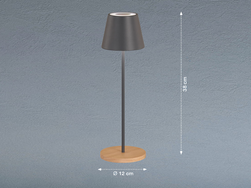 Outdoor Akku Tischlampe COSENZA Grau / Holz ohne Kabel - LED & RGB - Höhe 38cm
