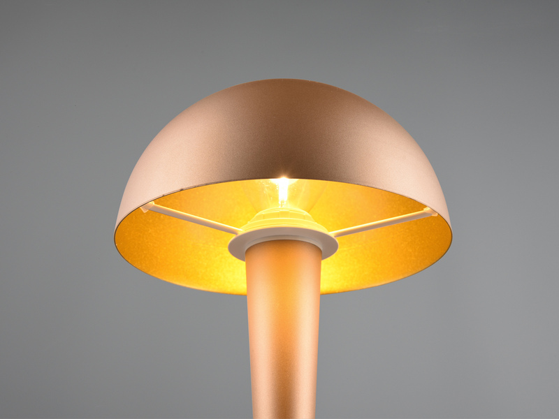 LED Tischleuchte CANARIA mit Glasschirm Touchfunktion Coffee Gold - Höhe 26cm