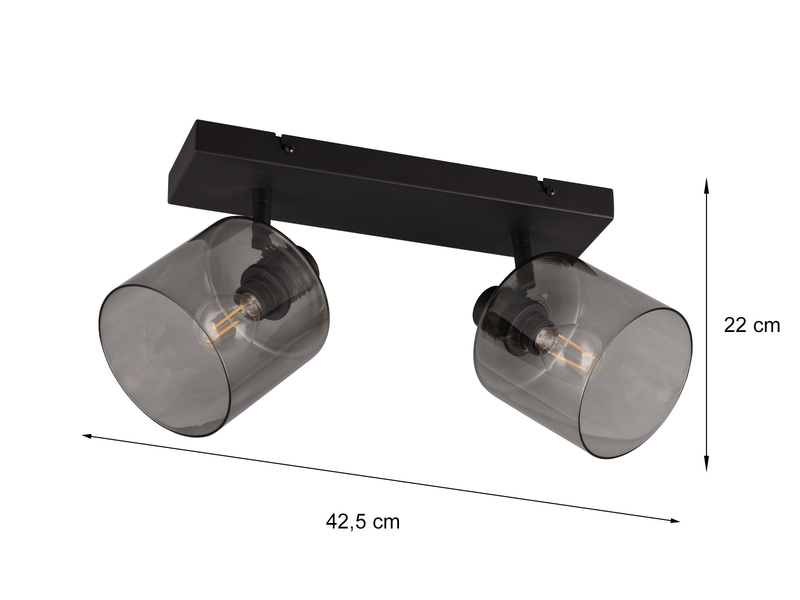 LED Deckenstrahler 2-flammig in Schwarz mit Rauchglas, Breite 42,5cm