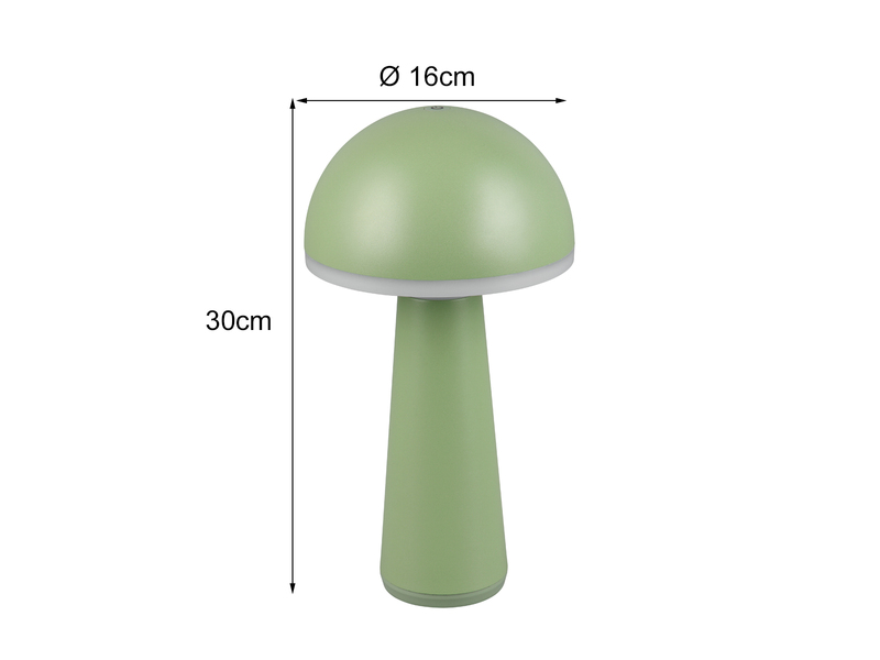Akku LED Tischleuchten 2er SET kabellos für Innen & Außen, Grün Höhe - 30cm