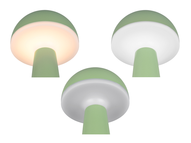 Akku LED Tischleuchten 2er SET kabellos für Innen & Außen, Grün Höhe - 30cm