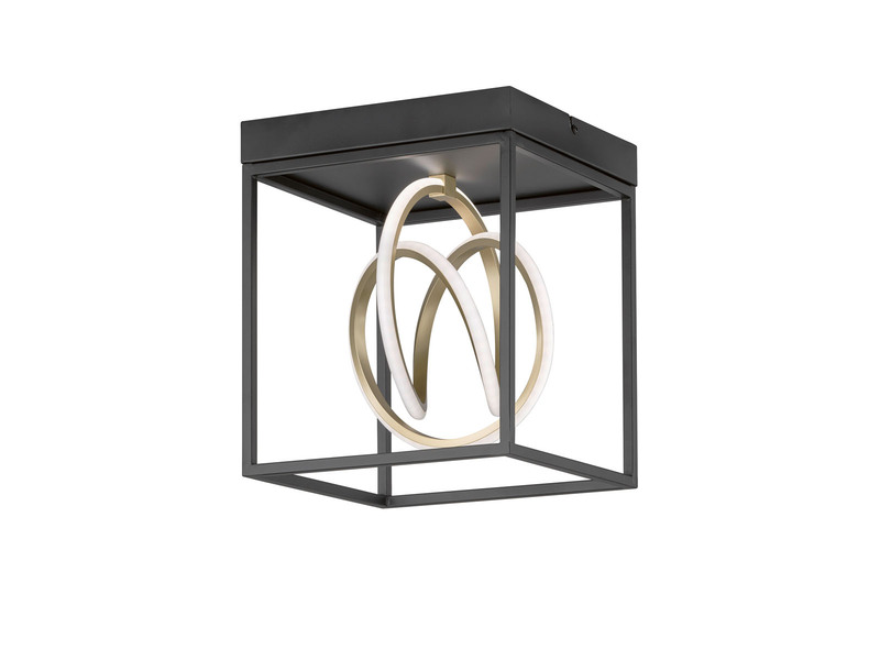 LED Deckenleuchte GISI Schwarz Gold, dimmbar & Tageslicht, Breite 25cm
