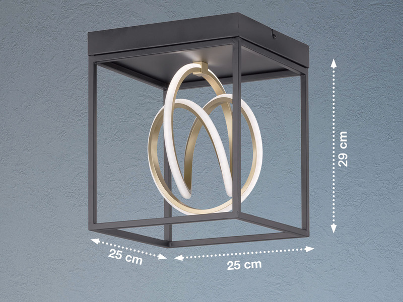 LED Deckenleuchte GISI Schwarz Gold, dimmbar & Tageslicht, Breite 25cm
