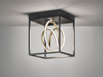 LED Deckenleuchte GISI Schwarz Gold, dimmbar & Tageslicht, Breite 25cm