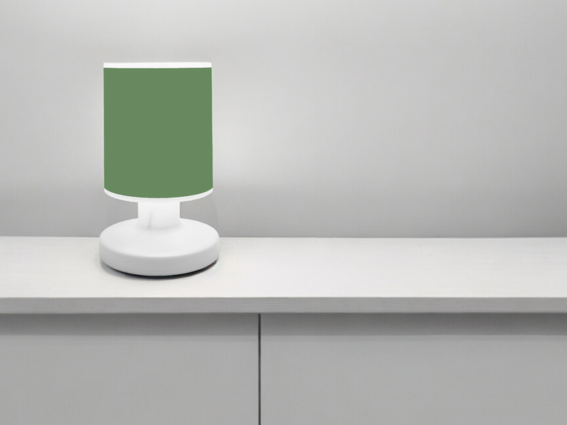 LED Akku Tischleuchte mit Schirm Salbeigrün per USB aufladbar, Höhe 20cm