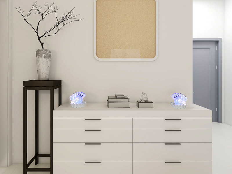 2er SET kleine USB Muschel Tischlampen mit RGB Beleuchtung, Höhe 14cm