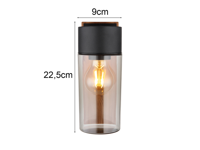 Außenwandleuchte ETSI aus Edelstahl in Holzoptik mit rauchfarbigem Glas H:22,5cm