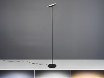 Deckenfluter SPECTER LED dimmbar & Lichtfarbe einstellbar, Schwarz, Höhe 178cm