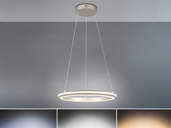 LED Pendelleuchte AMADOR Metall Silber, dimmbar & Lichtfarbe einstellbar Ø 45cm