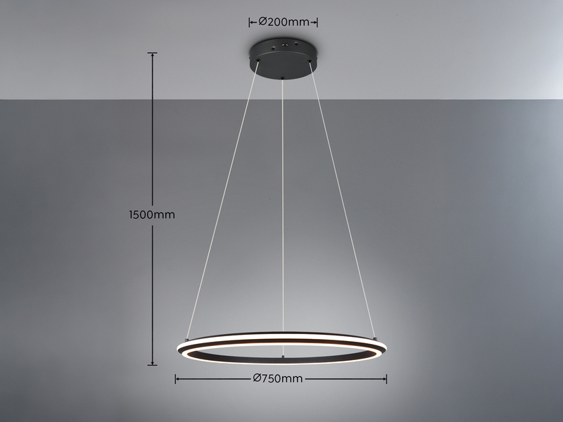 Pendelleuchte AMADOR Metall in Schwarz LED dimmbar Lichtfarbe einstellbar Ø 75cm