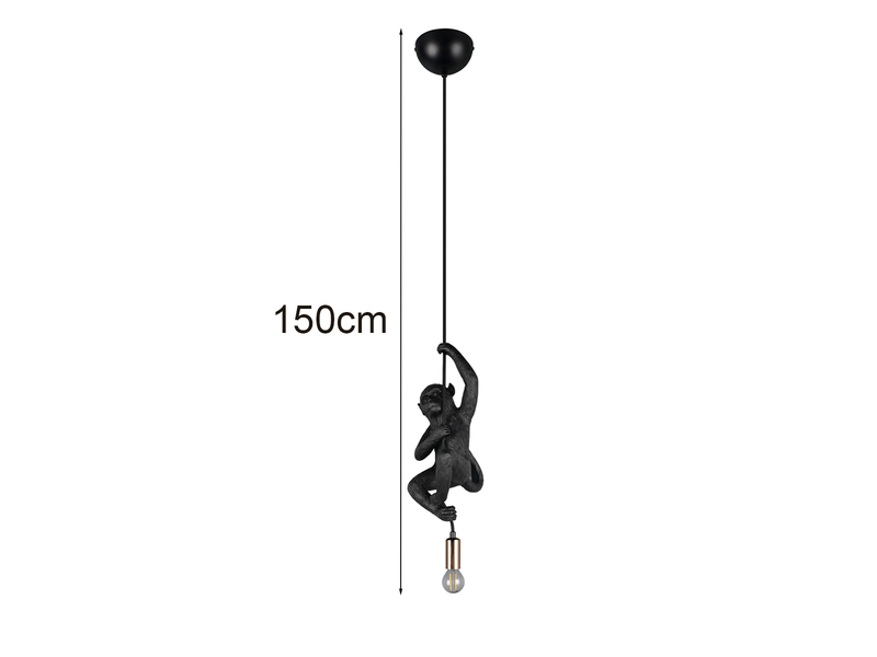 Kleine Pendelleuchte FIPS einflammig Affenlampe Schwarz, Breite 14,5cm