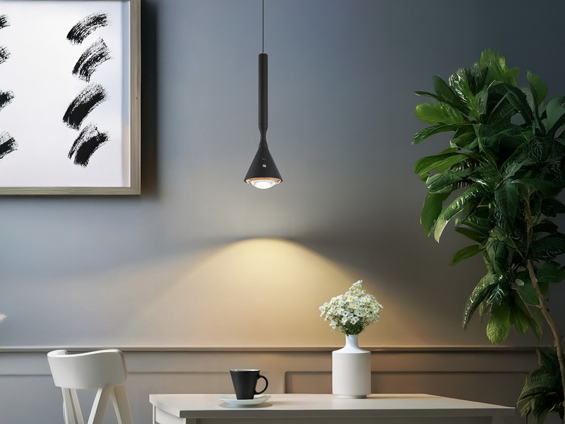 Akku Hängelampe Schwarz dimmbar & Tageslicht, höhenverstellbar, Ø 10cm