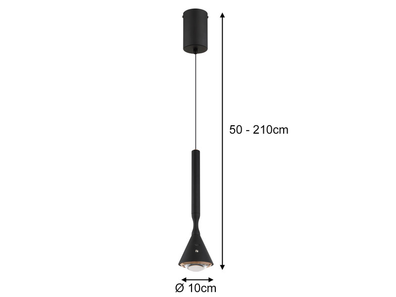 Akku Hängelampe Schwarz dimmbar & Tageslicht, höhenverstellbar, Ø 10cm