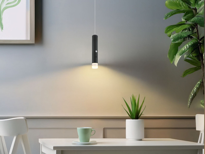 Akku Hängelampe Schwarz, dimmbar, abnehmbarer Leuchtenkopf Ø 3,8cm