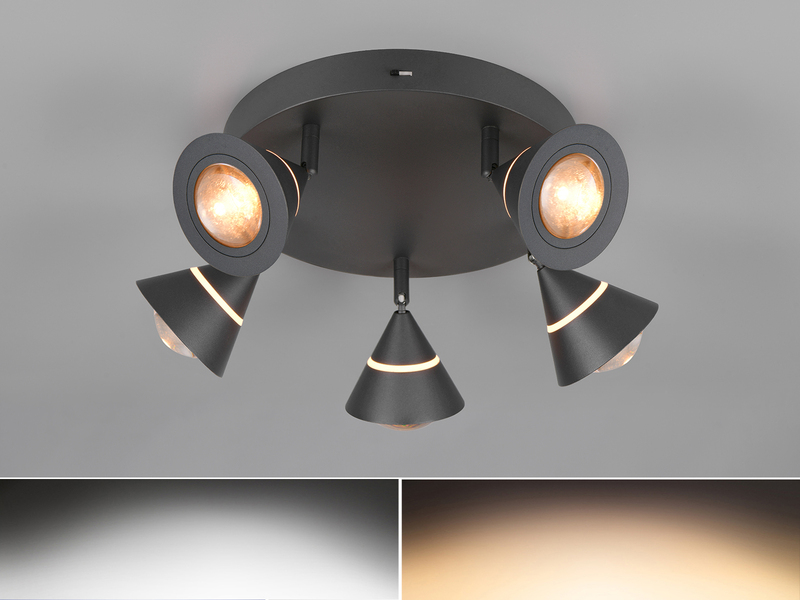Moderner LED Deckenstrahler ROMEO mit 5 schwenkbaren Spots Schwarz Ø 30cm