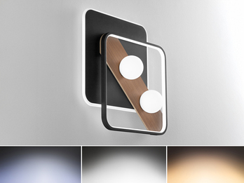 LED Deckenleuchte und Wandleuchte CRICKET Schwarz, 3 Lichtfarben, 50x40cm