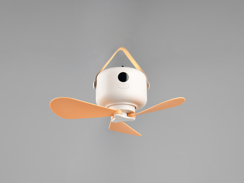Kleiner Akku Deckenventilator mit Licht und Fernbedienung, USB aufladbar Ø 27cm