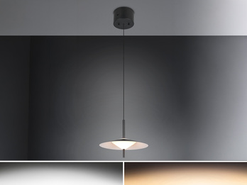 LED Pendelleuchte AMALO höhenverstellbar dimmbar Metall Schwarz, Ø 30cm
