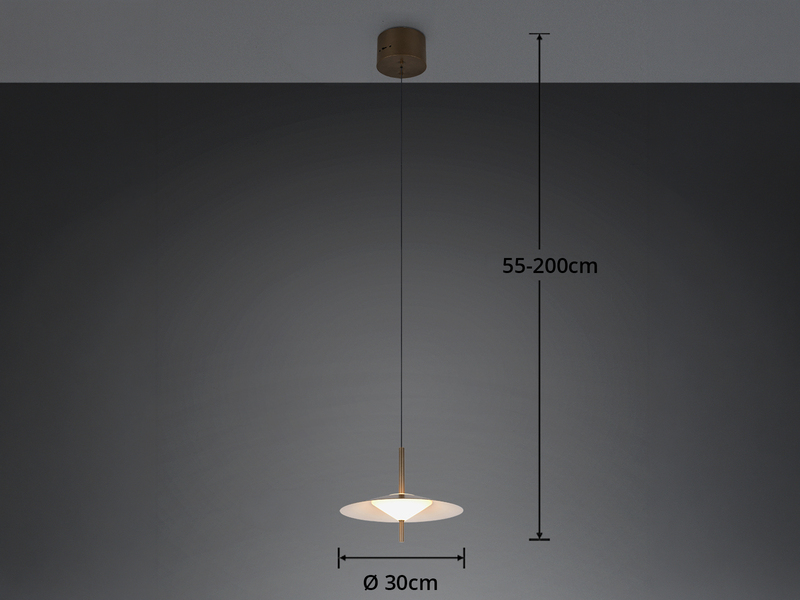 LED Pendelleuchte AMALO höhenverstellbar dimmbar Metall Platinum Ø 30cm