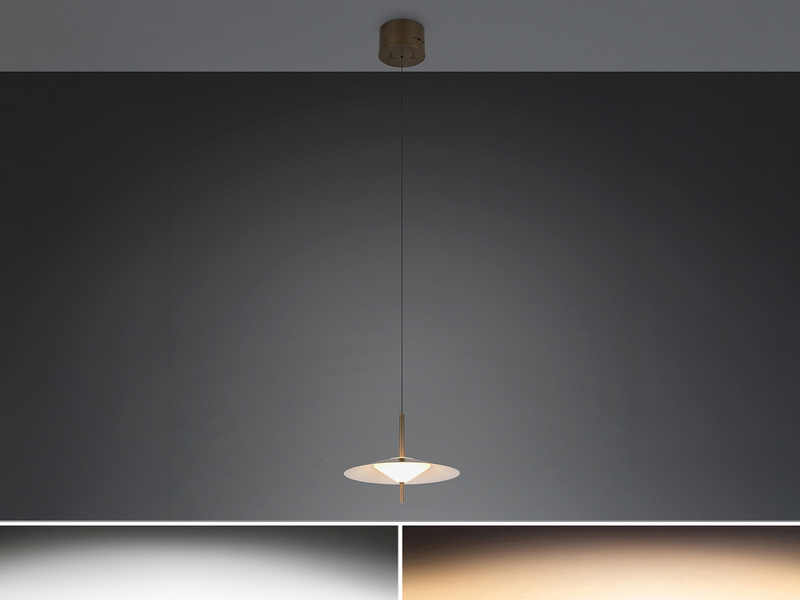 LED Pendelleuchte AMALO höhenverstellbar dimmbar Metall Platinum Ø 30cm