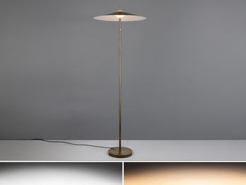 Moderne LED Stehleuchte AMALO dimmbar & 3 Lichtfarben Platinum, H: 145cm Moderne LED Stehleuchte AMALO dimmbar & 3 Lichtfarben Platinum, H: 145cm