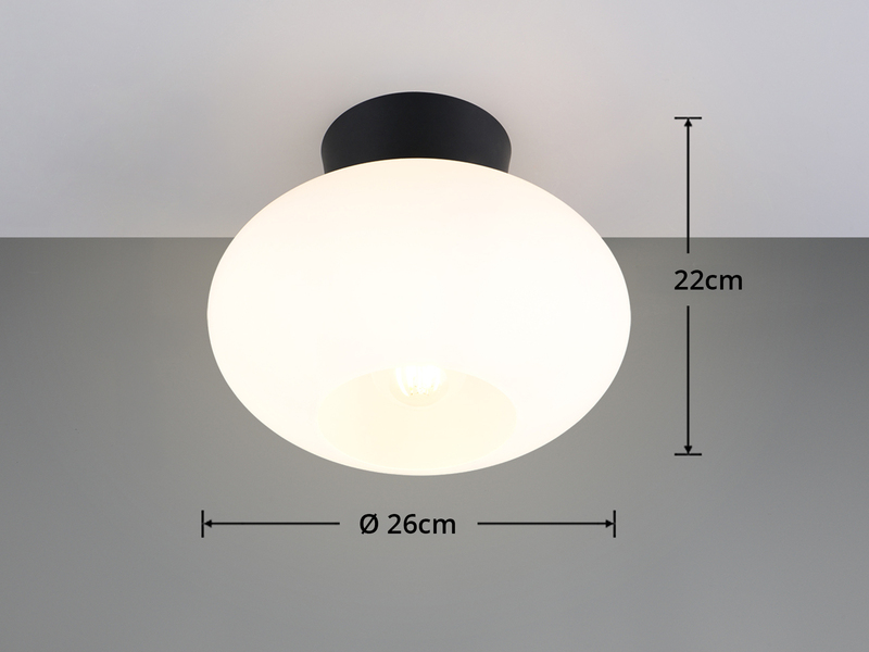Kleine Deckenleuchte SIDERA Schwarz mit Opalglas Kugel Ø 26cm
