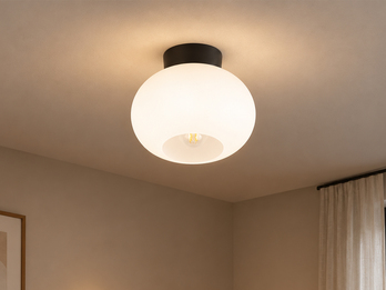 Kleine Deckenleuchte Schwarz mit Opalglas Kugel Ø 26cm inkl. E27 LED