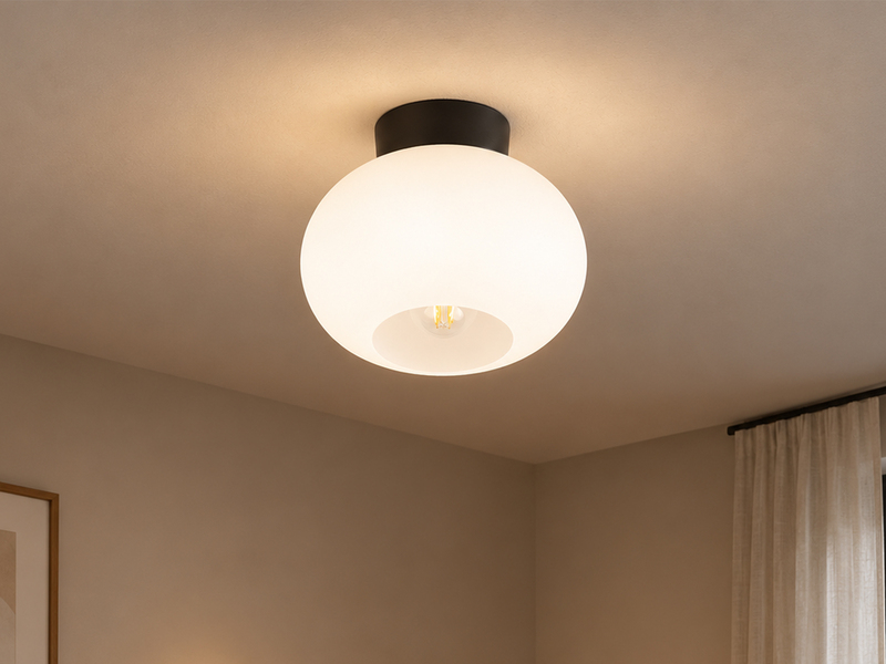 Kleine Deckenleuchte Schwarz mit Opalglas Kugel Ø 26cm inkl. E27 LED